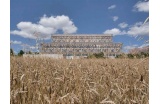 À la périphérie de Dijon, l’exosquelette ligneux du siège de la Caisse d’Épargne de Bourgogne-Franche-Comté surgit à travers les champs de blé... - Crédit photo : CAILLE Emmanuel