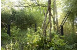 "En vert"  LA SUPERSTRUCTURE, France - Crédit photo : SANDER Eric