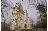 Choix du public, Les ruines inaccessibles du Château du Roy, Cédric Avenier - Crédit photo : DR  