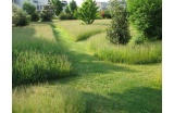 Jardin de l'Ecole Normale Supérieur de Lyon - Crédit photo : DR  