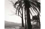 Au bord de San Timoteo Canyon, Redlands, Californie 1978 - Crédit photo : ADAMS Robert