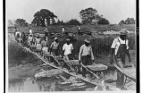 Louisiana - Ben Shahn - Crédit photo : DR  