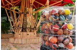 Pavillon du basket, ENSAP Lille - Crédit photo : ... ...