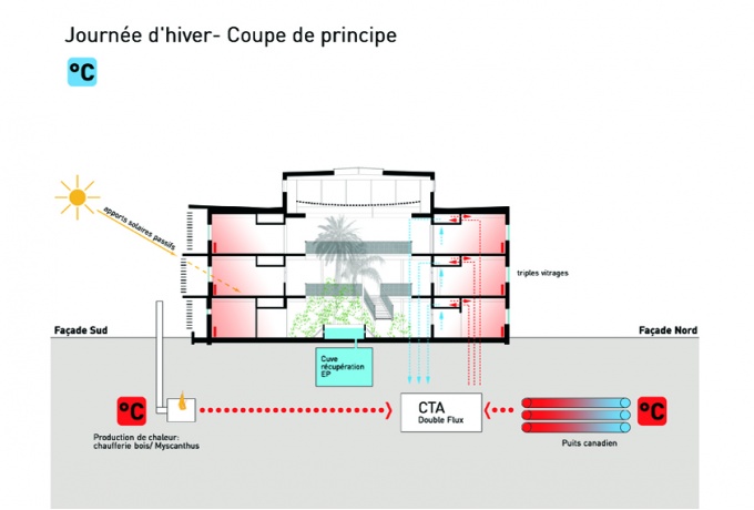 Coupe de principe, été<br/> Crédit photo : DR  