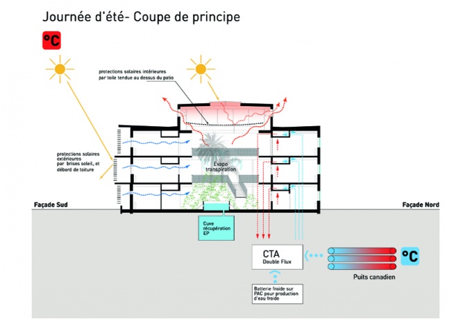 Coupe de principe, hiver<br/> Crédit photo : DR  